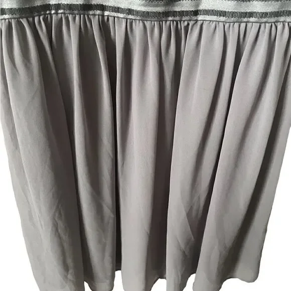 Pixley Silver Striped Dress - Picture 9 of 11